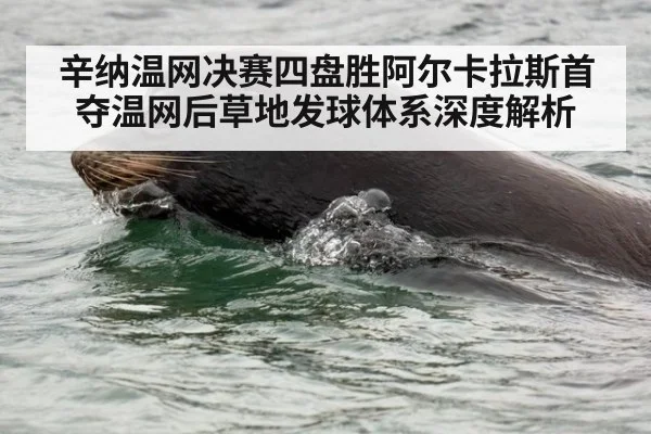 辛纳温网决赛四盘胜阿尔卡拉斯首夺温网后草地发球体系深度解析